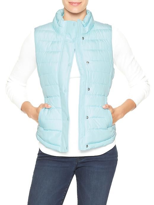 View large product image 1 of 1. Warmest quilted vest