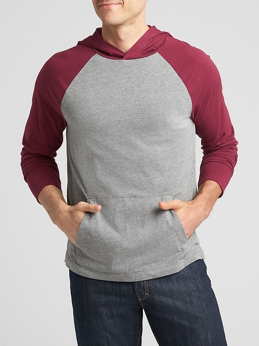 Image number 5 showing, Colorblock Hoodie in Sueded Jersey