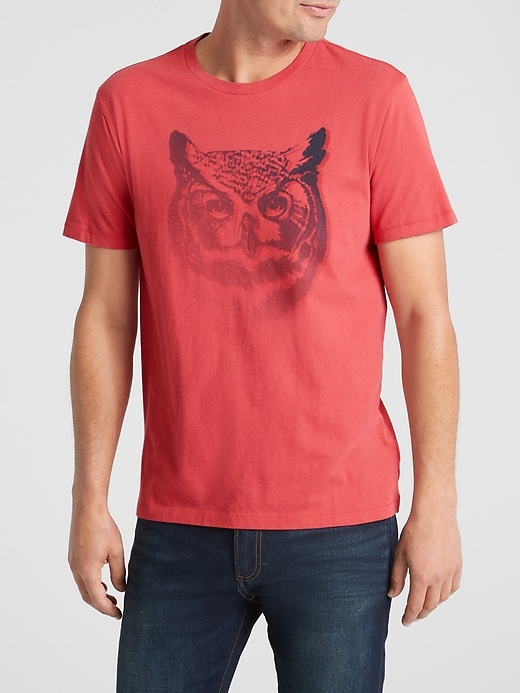 Image number 1 showing, Owl Graphic Crewneck T-Shirt in Jersey