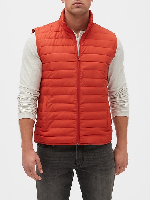 View large product image 1 of 1. Puffer Vest