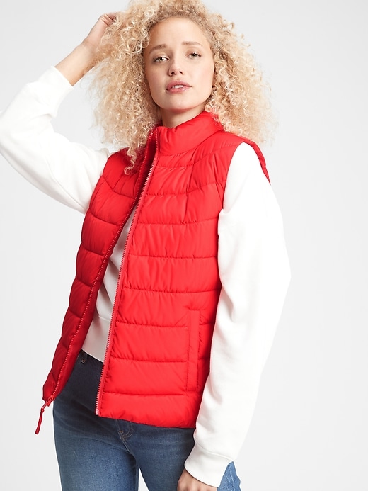 View large product image 1 of 1. ColdControl Puffer Vest