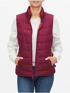 gap factory warmest jacket