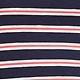 navy multi stripe