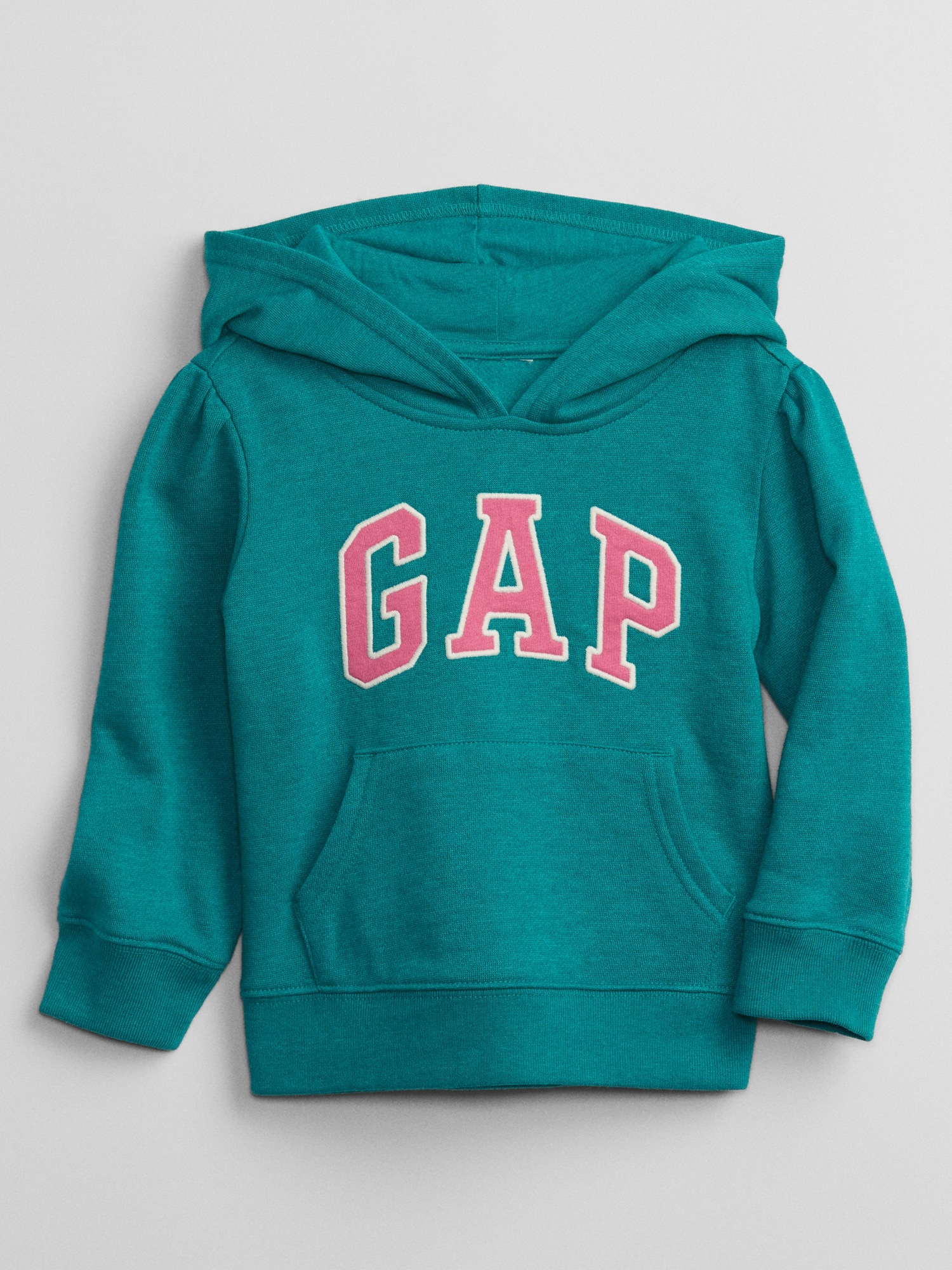 babyGap Logo Hoodie Gap Factory