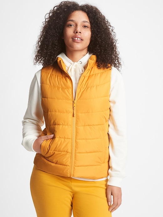 The strongest offers for Puffer vests in 2021 are on the Gap website