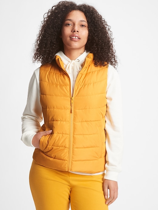 View large product image 1 of 1. ColdControl Puffer Vest