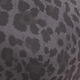 neutral cheetah