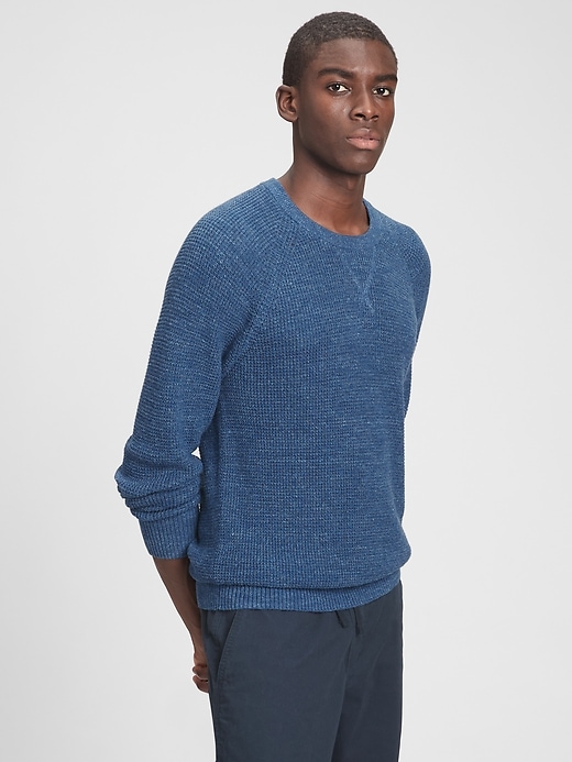 Textured Raglan Crewneck Sweater