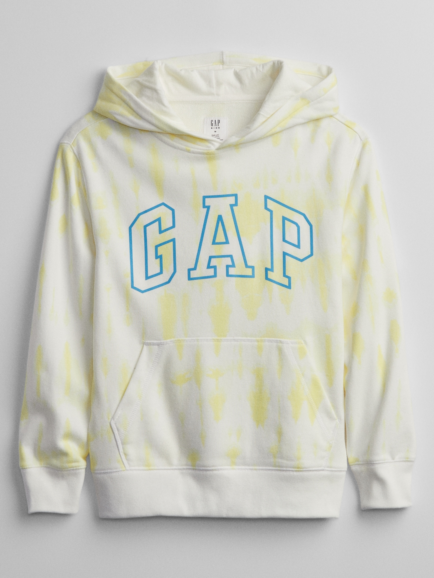 Kids Gap Logo Hoodie