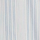 blue variegated stripe