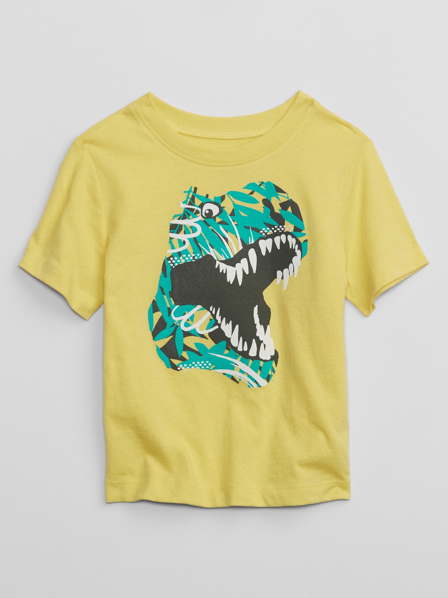BabyGap Graphic T Shirt Gap Factory