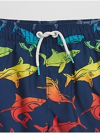 View large product image 3 of 3. Kids Swim Trunks