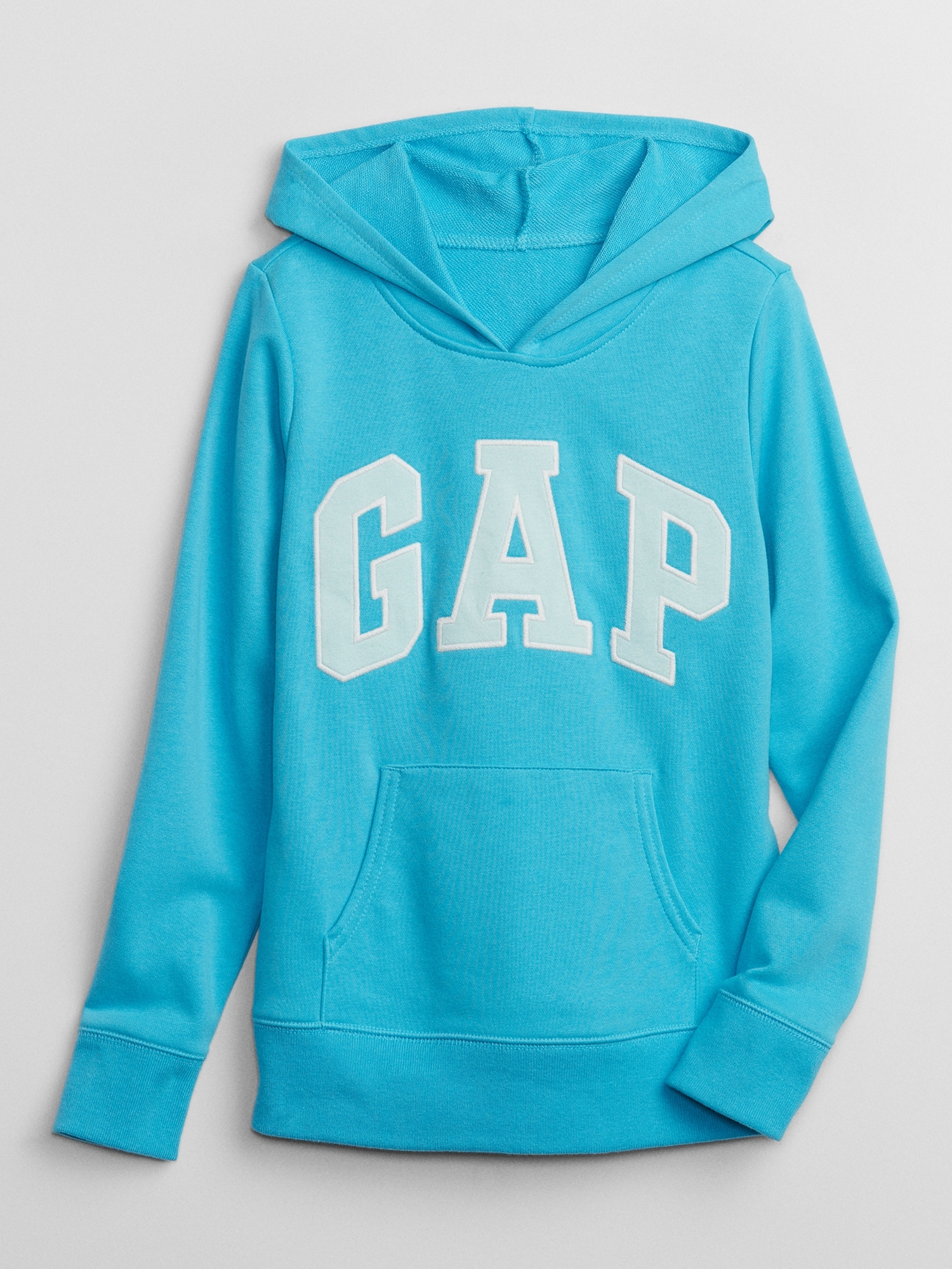 Kids Gap Logo Hoodie