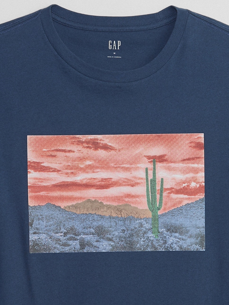 Desert Graphic T-Shirt | Gap Factory