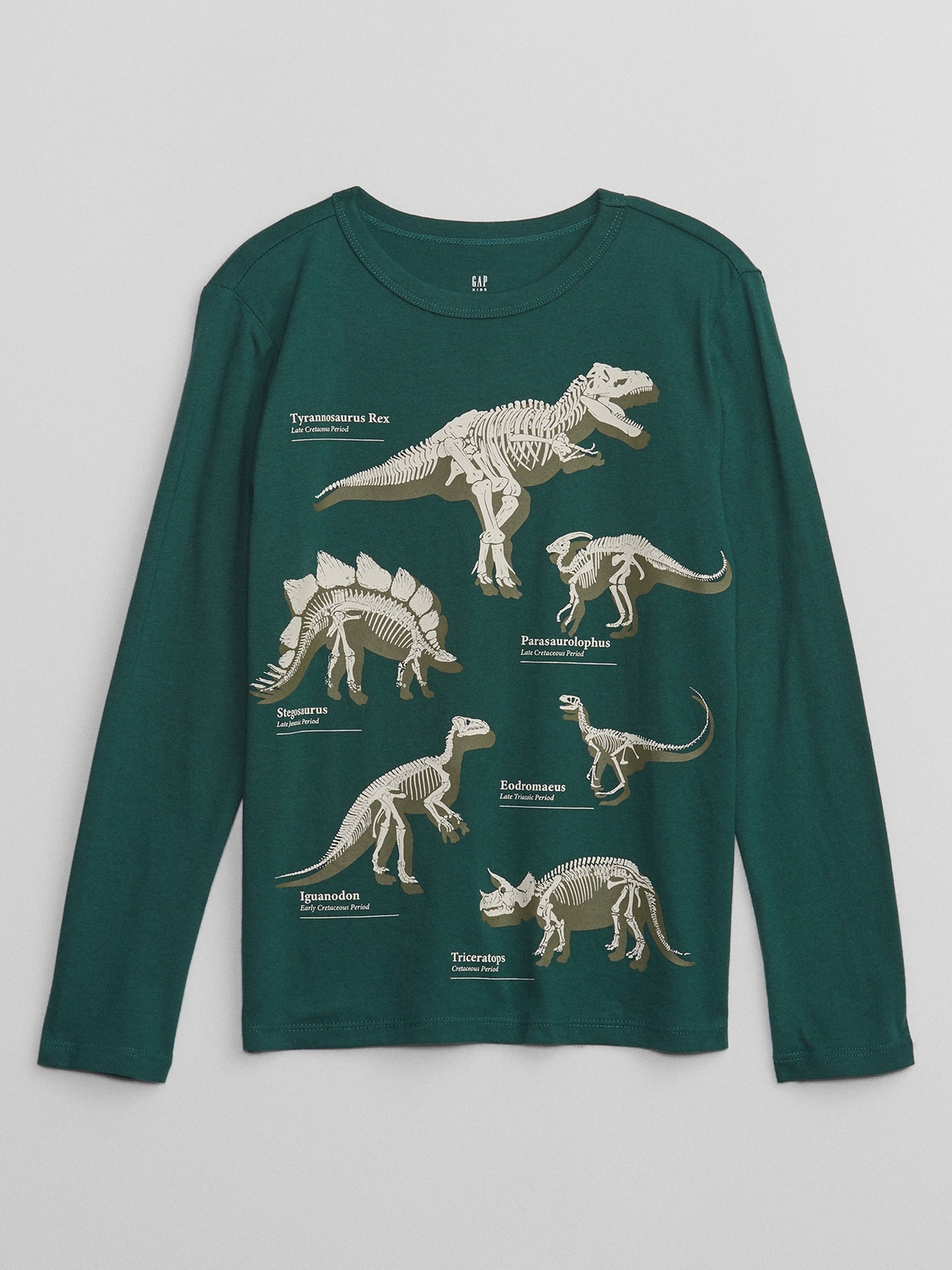 Kids Graphic T-Shirt