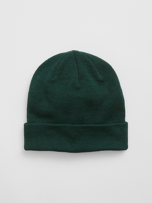 View large product image 1 of 1. Recycled Beanie
