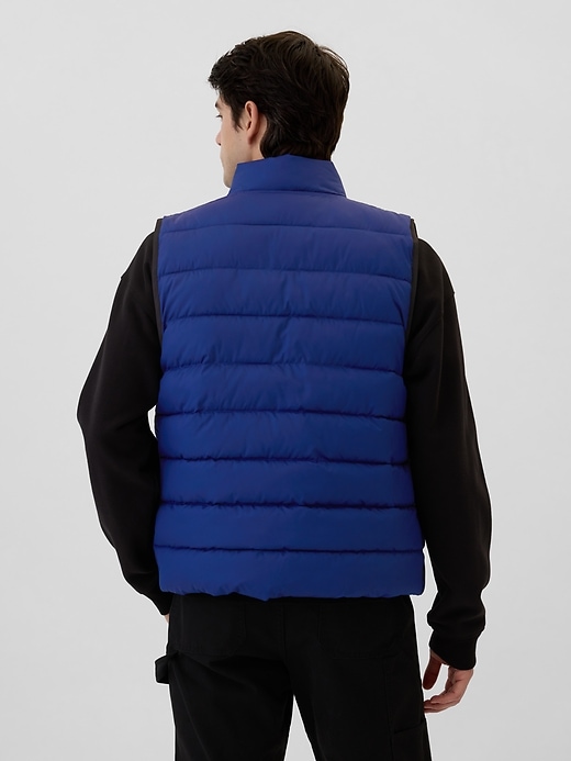 Image number 2 showing, ColdControl Relaxed Puffer Vest