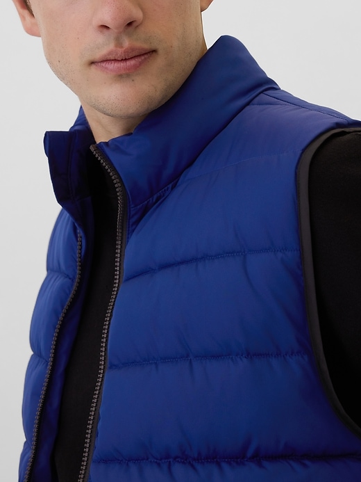 Image number 4 showing, ColdControl Relaxed Puffer Vest