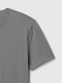 Everyday Soft Stripe Crewneck T-Shirt