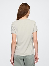 Favorite V-Neck T-Shirt