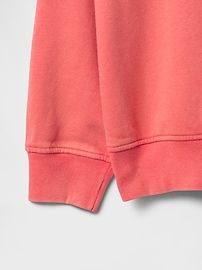 Kids Relaxed Washed Crewneck Sweatshirt