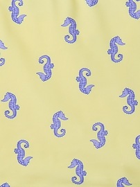 Kids Swim Smocked Two-Piece