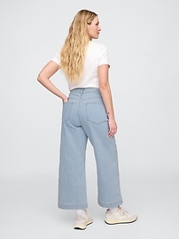 High Rise Stripe Wide-Leg Crop Jeans