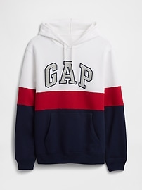 Relaxed Gap Logo Colorblock Hoodie