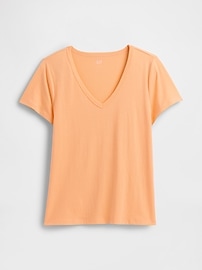 Favorite Stripe V-Neck T-Shirt