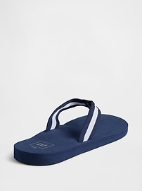 Flip Flops