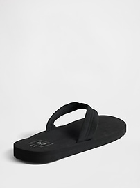 Flip Flops