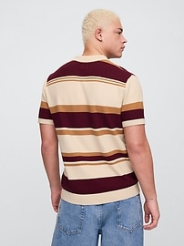 Textured Polo Sweater