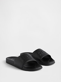 Gap Logo Pool Slides