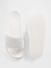 Gap Logo Pool Slides