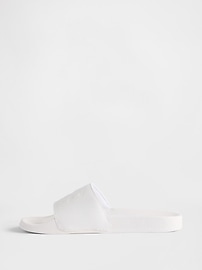 Gap Logo Pool Slides