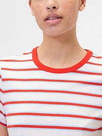 Favorite Stripe Crewneck T-Shirt