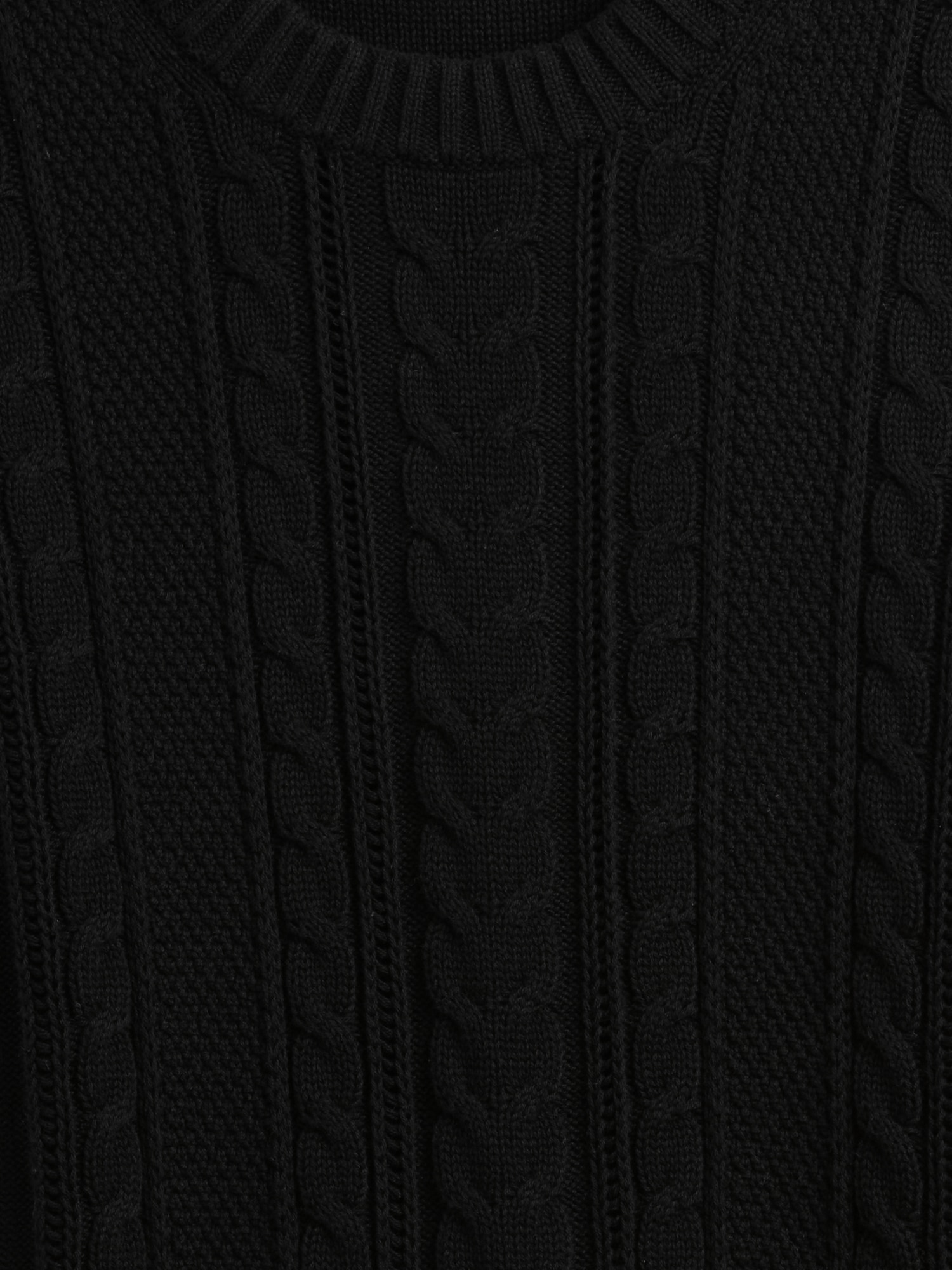 Gap Factory Cable-knit Crewneck Sweater In Black