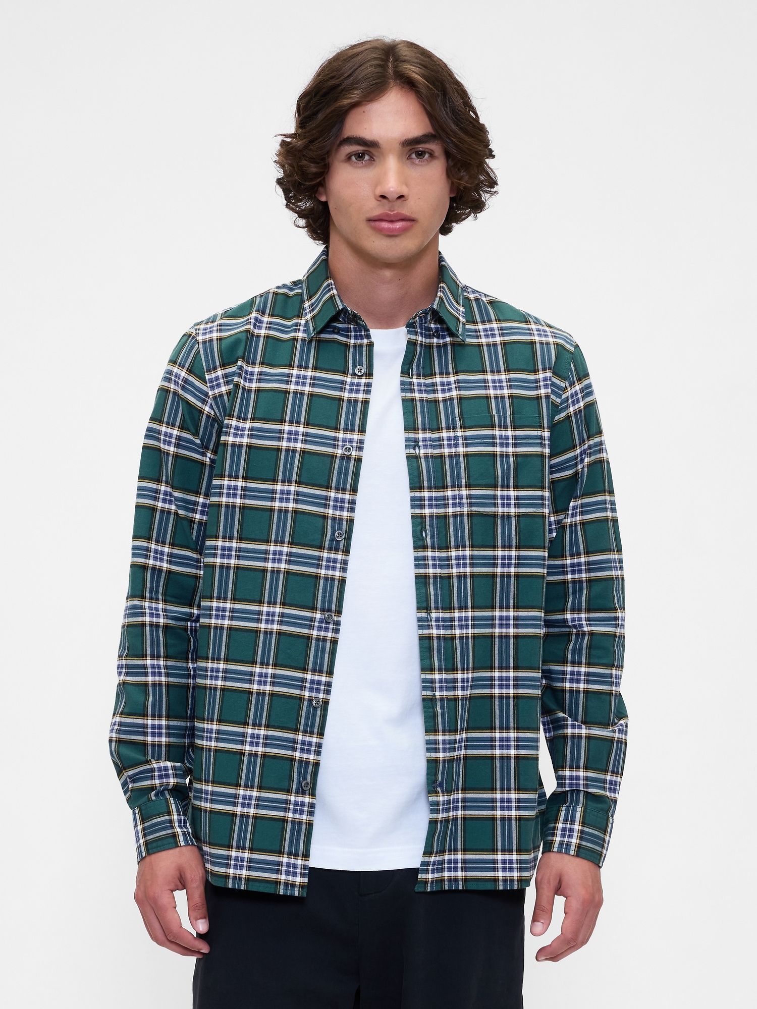Oxford Shirt in Standard Fit - Green