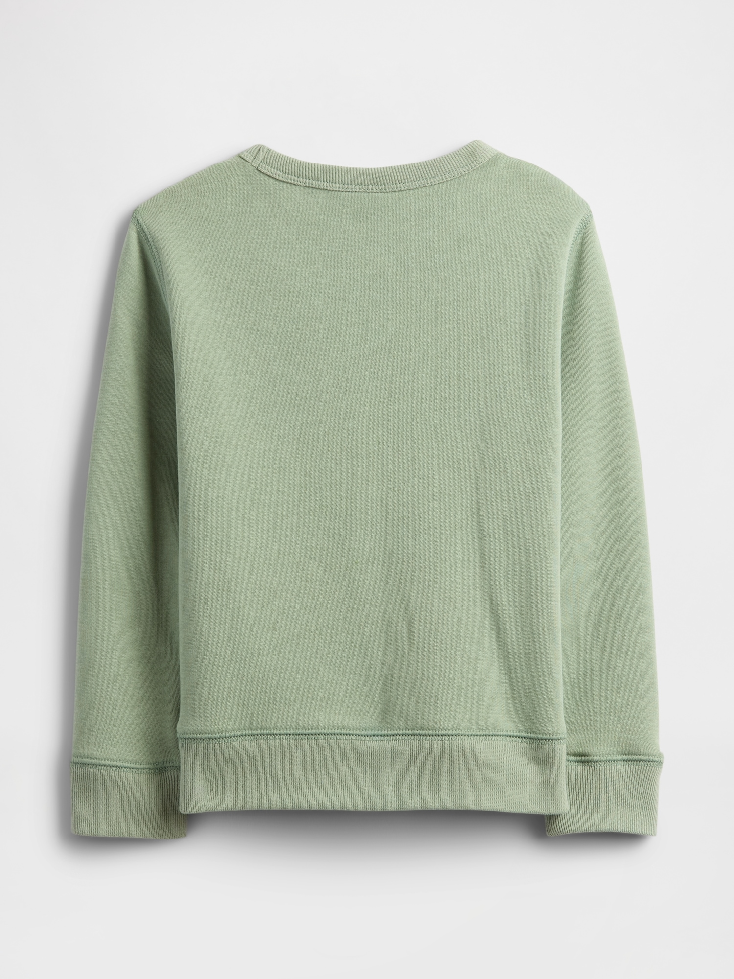 babyGap Crewneck Sweatshirt