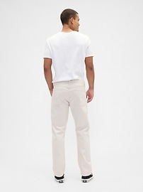 Stripe Straight Carpenter Jeans