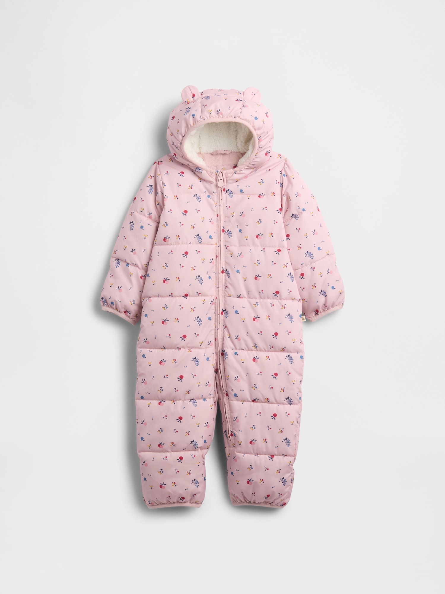 Baby ColdControl Max Snowsuit - Primitive Pink Floral