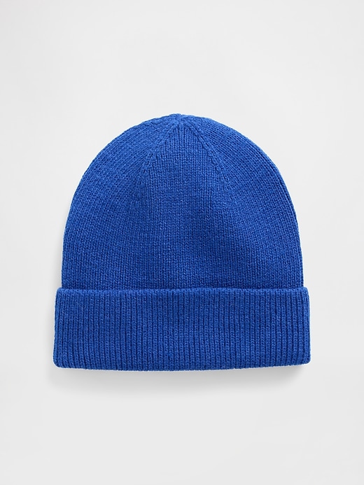 Image number 1 showing, Ribbed Beanie