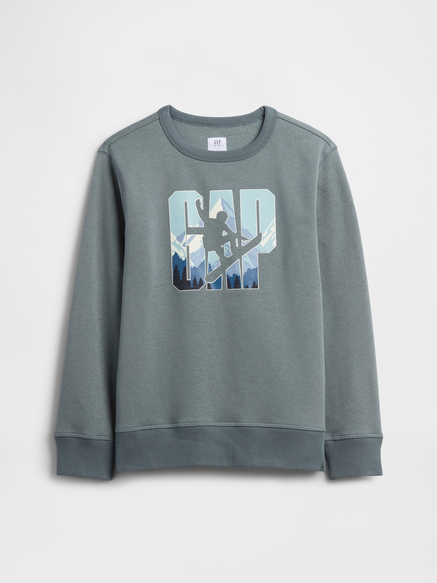 Kids Crewneck Graphic Sweatshirt - Grey Slate