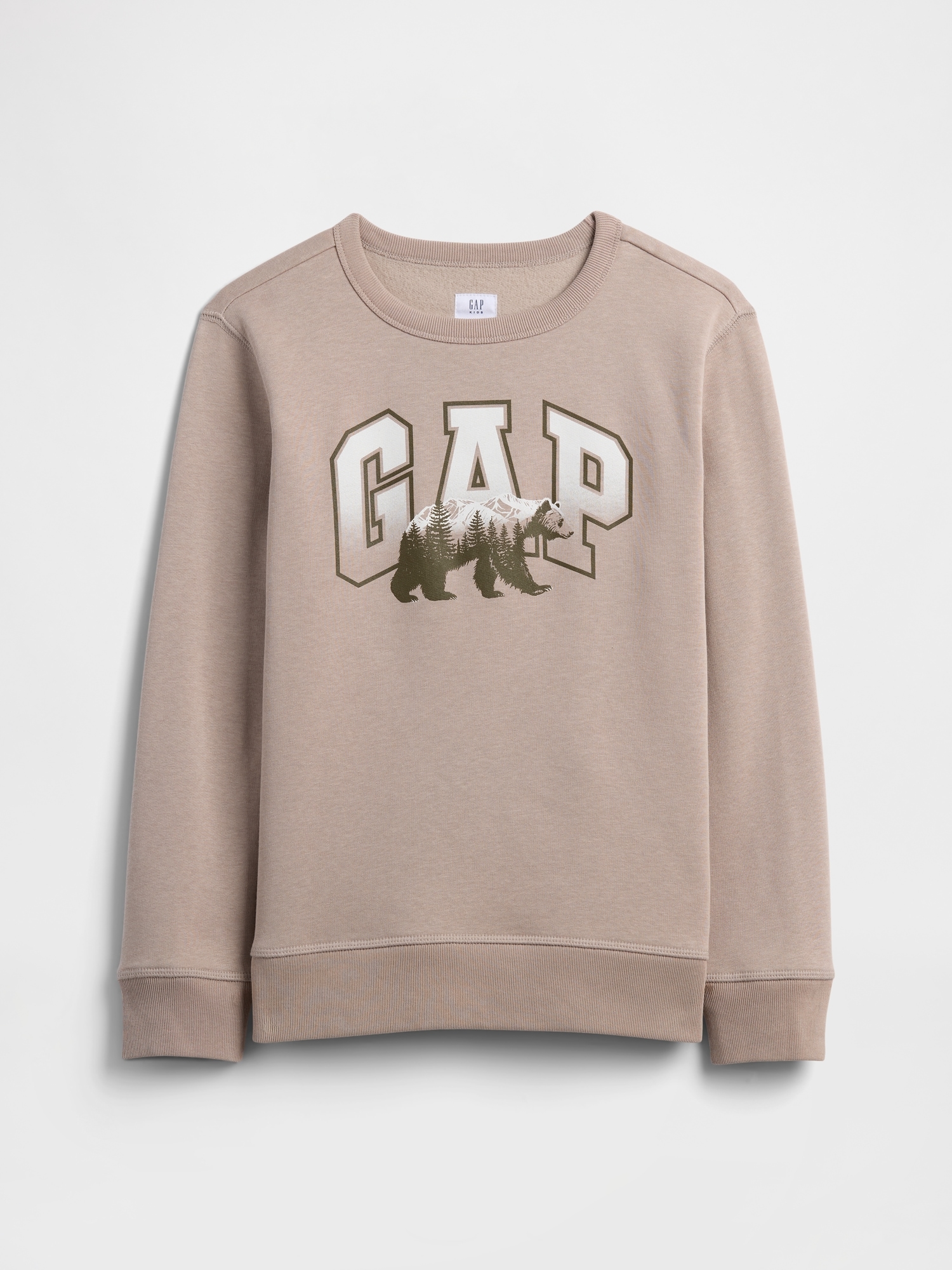 Kids Crewneck Graphic Sweatshirt - Quail