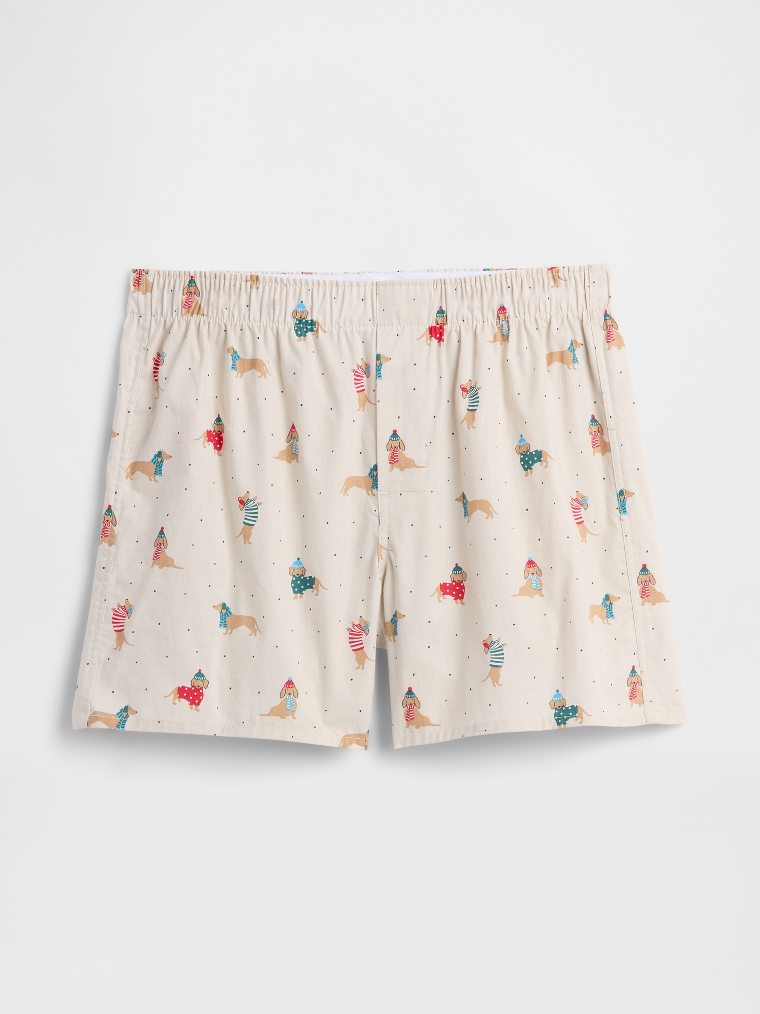 4" Boxers - Dog