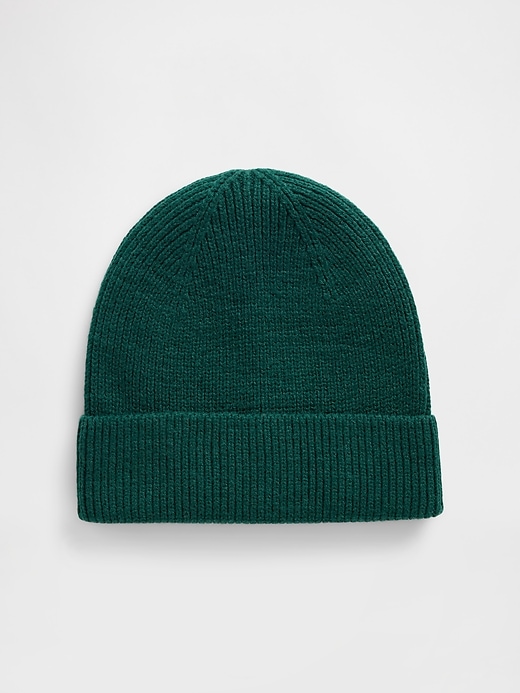 Image number 1 showing, Ribbed Beanie