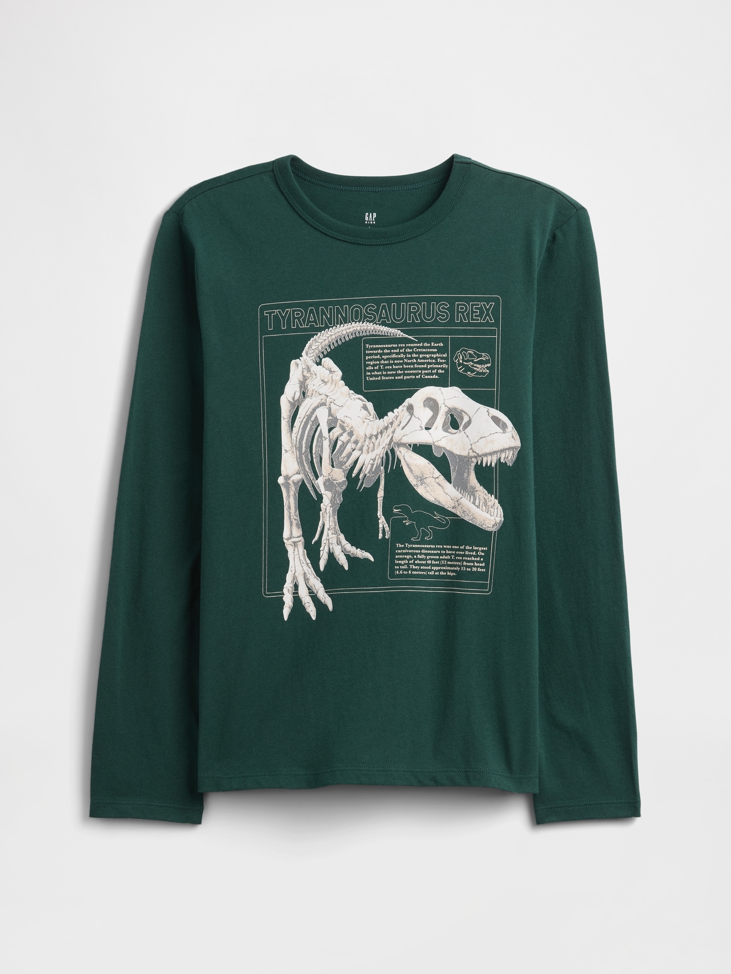 Kids Graphic T-Shirt - Deep Hunter Green