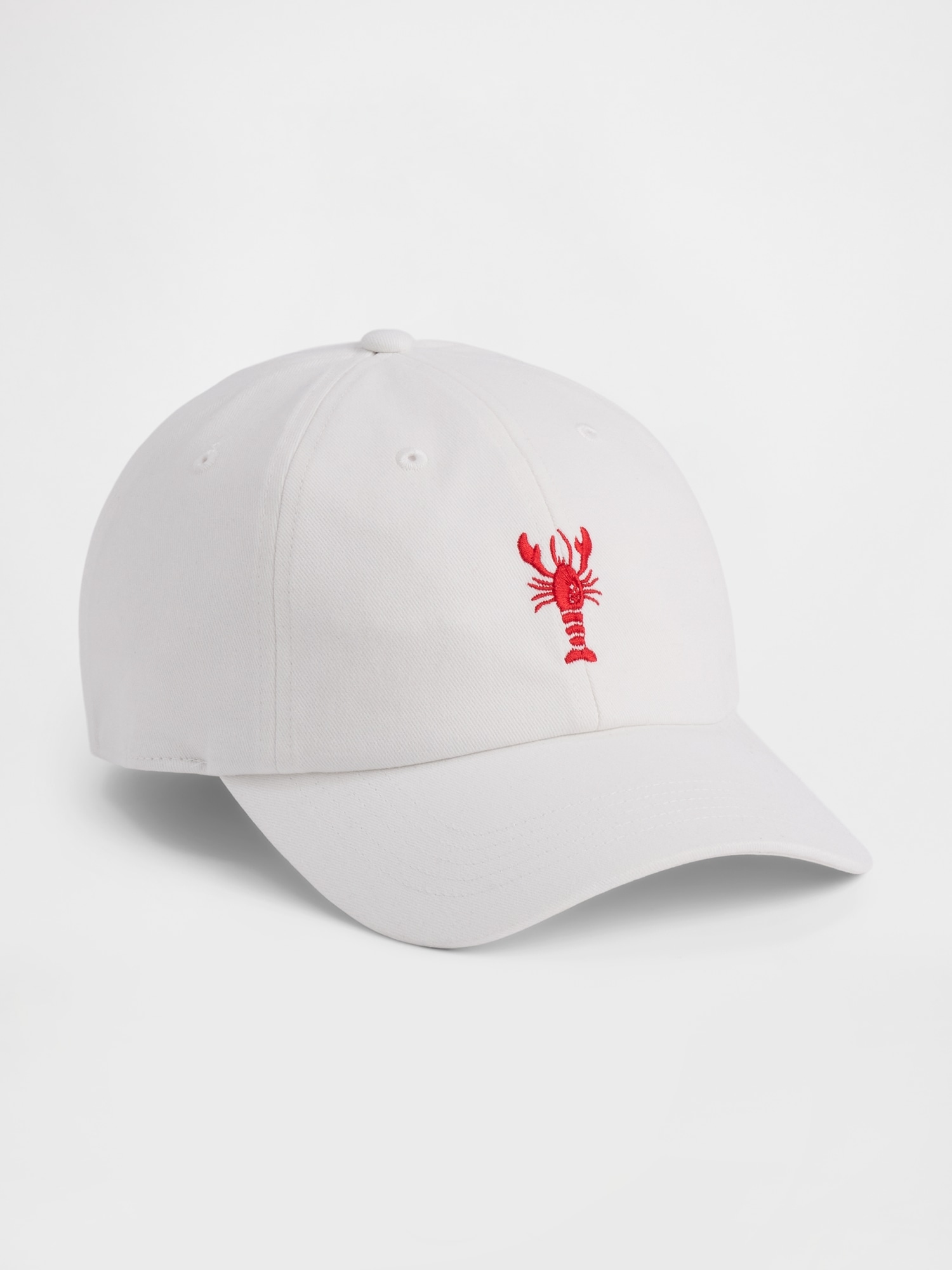 Graphic Baseball Hat