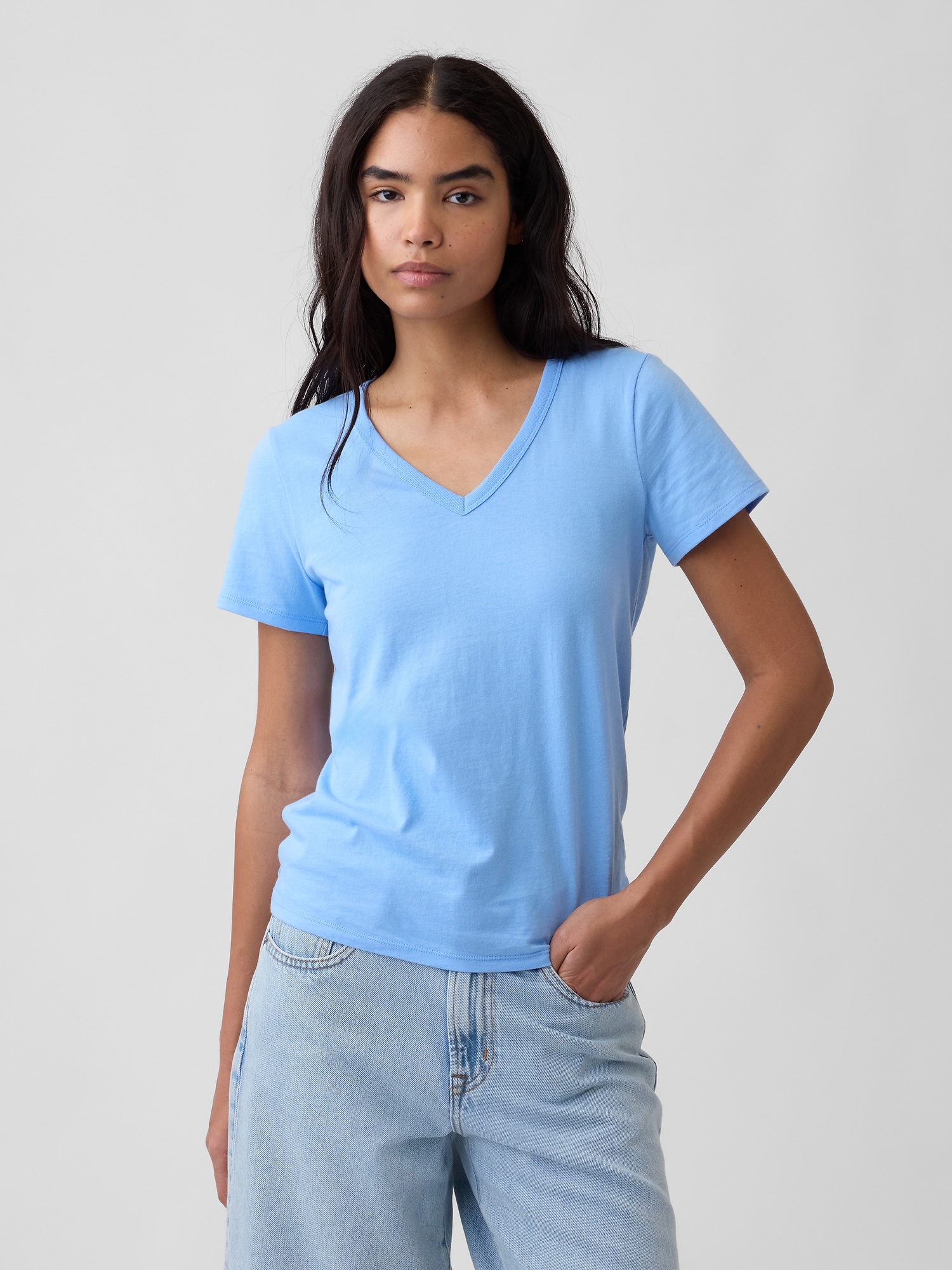 Favorite V-Neck T-Shirt