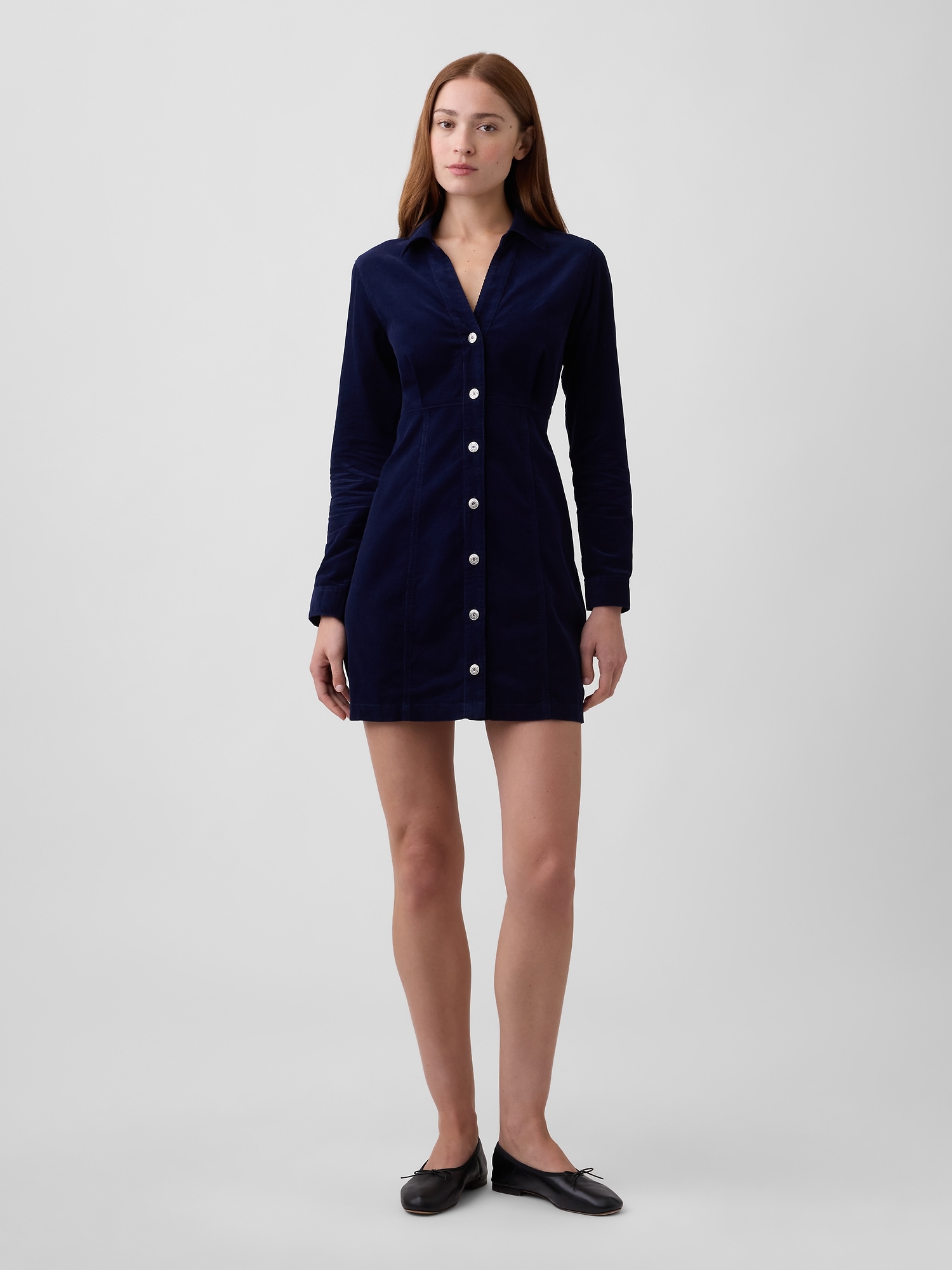 Fitted Collared Mini Dress